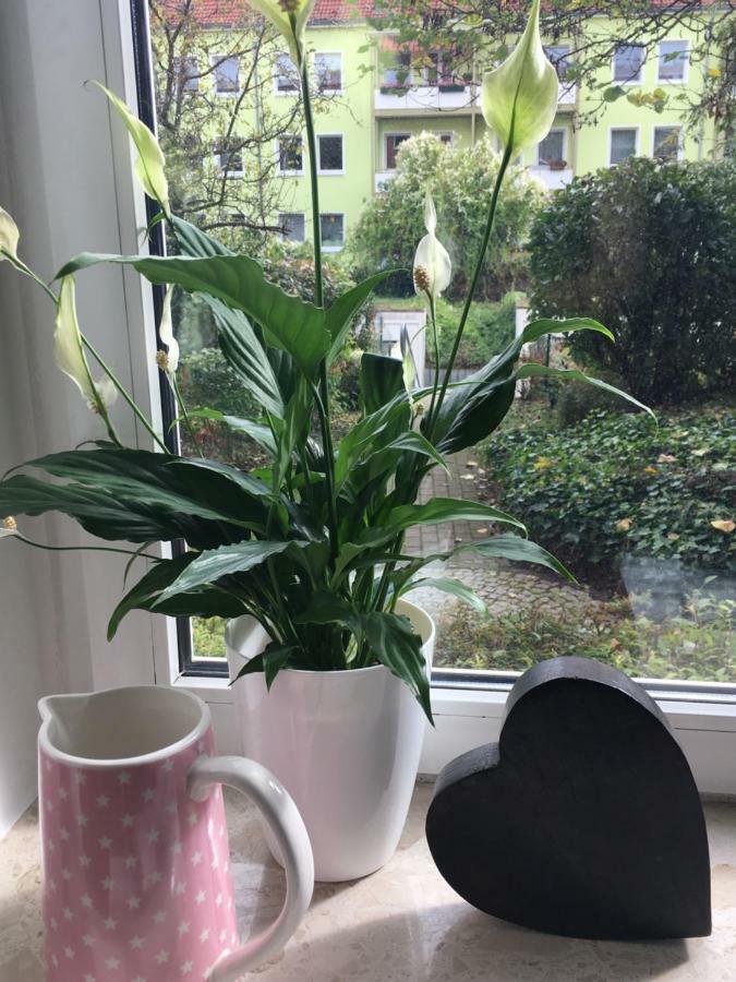 Gemuetliche Ferienwohnung Im Erdgeschoss- Jenaer Strasse Erfurt Ngoại thất bức ảnh